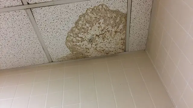 Stained ceiling tile from a leak above a room