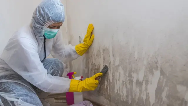 Technician in protective gear scraping mold from a wall
