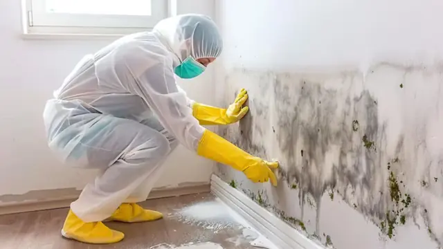 Technician in a protective suit and respirator treating mold on a wall