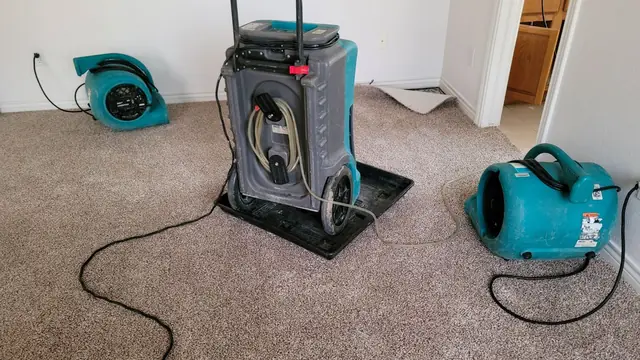 Dehumidifier and air movers drying a carpeted room